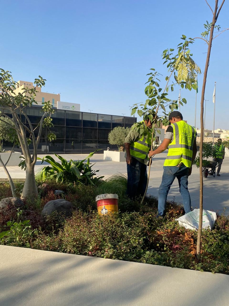 Garden work